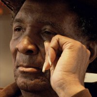 Blowfly