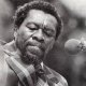 Joe Willie Wilkins
