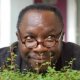 the Mad Professor
