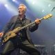 Martin Kemp