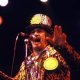Screaming Lord Sutch