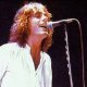 Tom Petersson